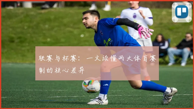 联赛与杯赛:一文读懂两大体育赛制的核心差异