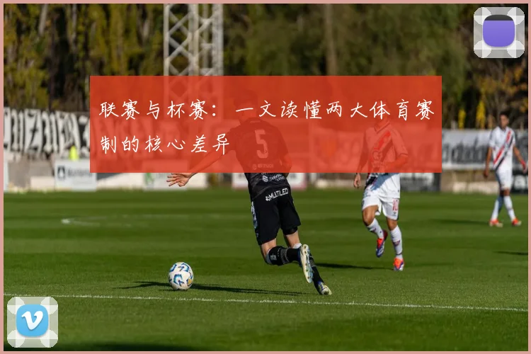 联赛与杯赛：一文读懂两大体育赛制的核心差异