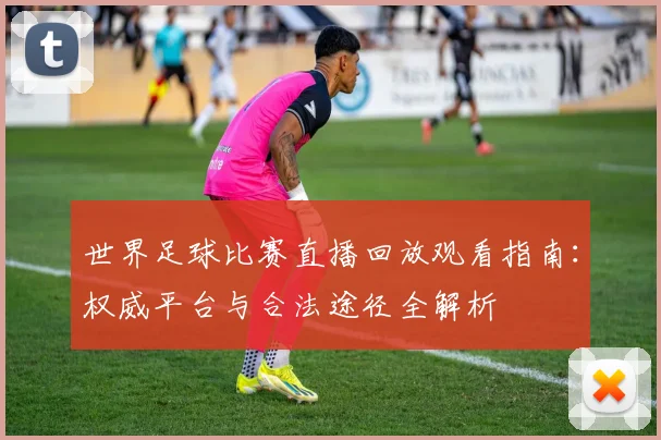 世界足球比赛直播回放观看指南:权威平台与合法途径全解析